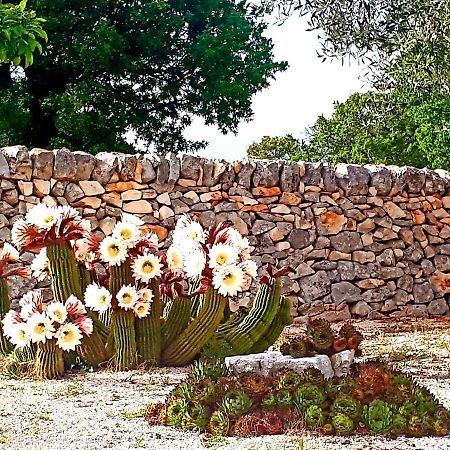 Casa Relax Isabelle Acomodação com café da manhã Alberobello Exterior foto