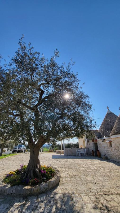 Casa Relax Isabelle Acomodação com café da manhã Alberobello Exterior foto