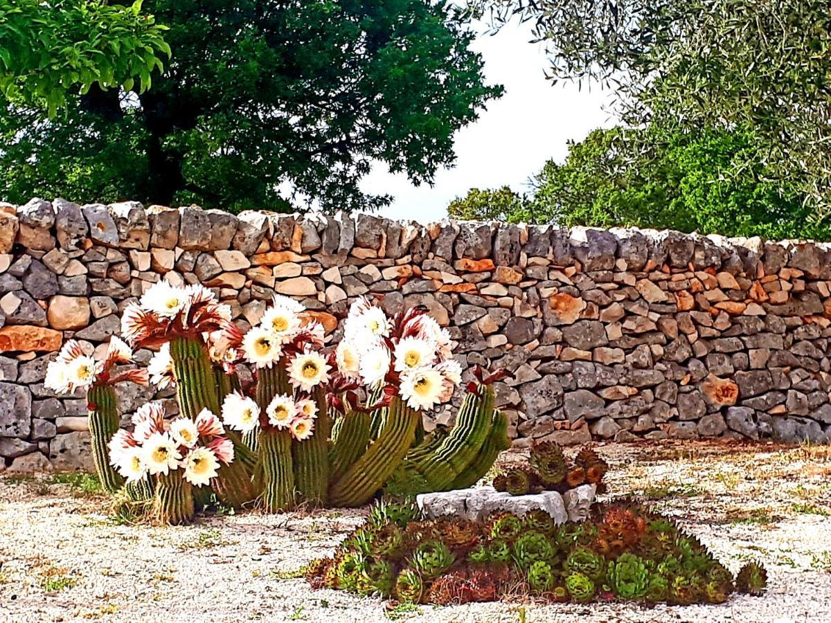 Casa Relax Isabelle Acomodação com café da manhã Alberobello Exterior foto